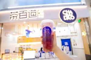 乐鱼VIP加盟费用包括哪些？