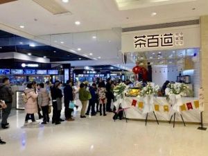 毕节乐鱼VIP加盟要多少钱？